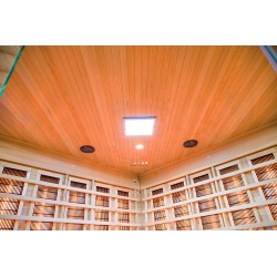 Sauna na podczerwień 200X200X200CM FS-EA5CR
